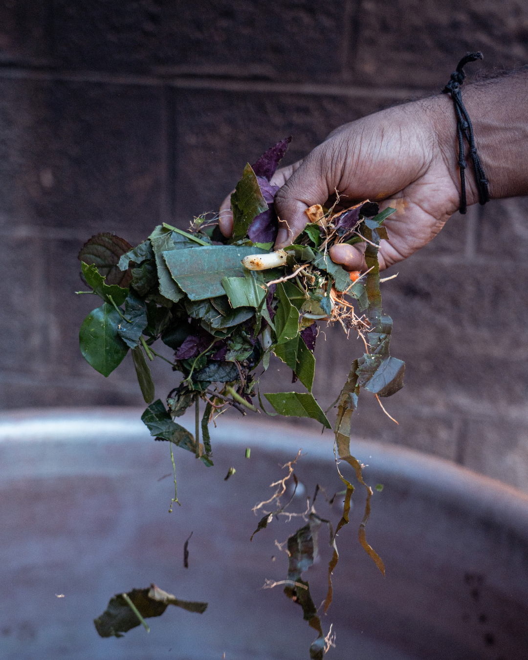 Non-toxic, natural dyes for our organic underwear