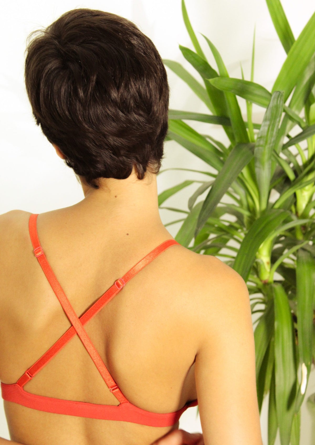 Lavanya Bralette - Sappan Bark