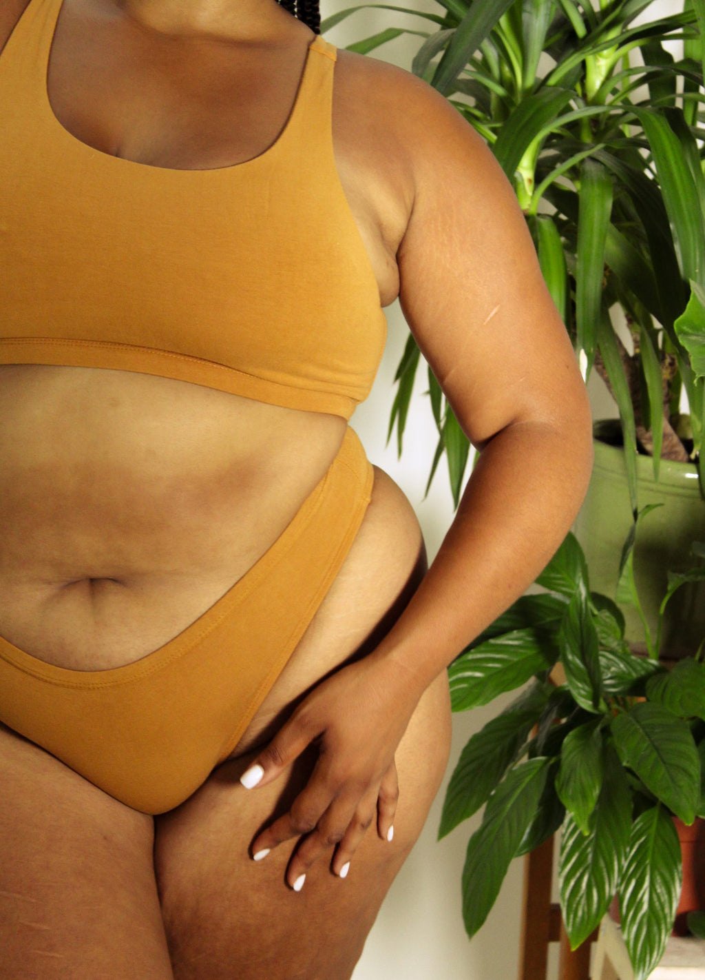Shanta Brief - Ashwagandha Blend