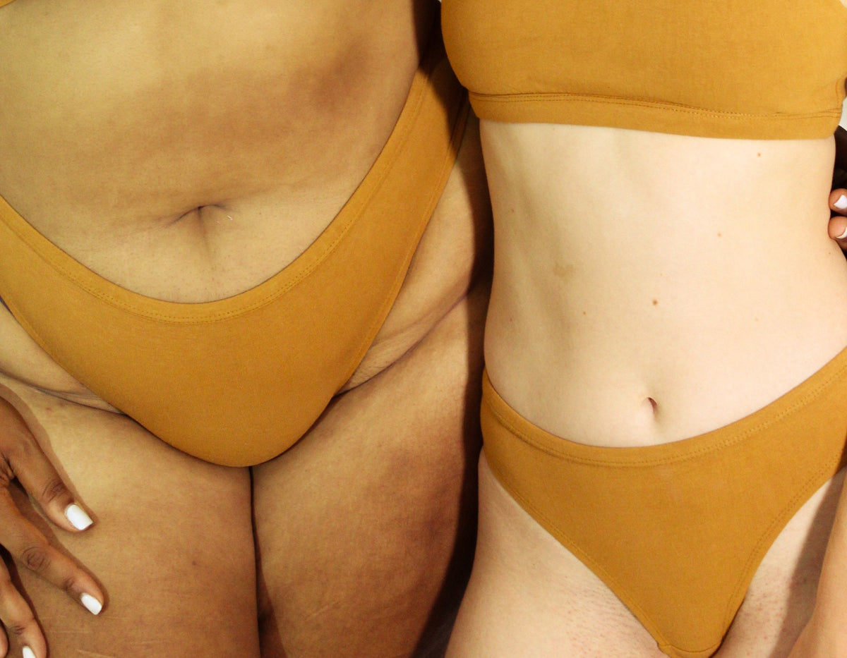 Shanta Brief - Ashwagandha Blend