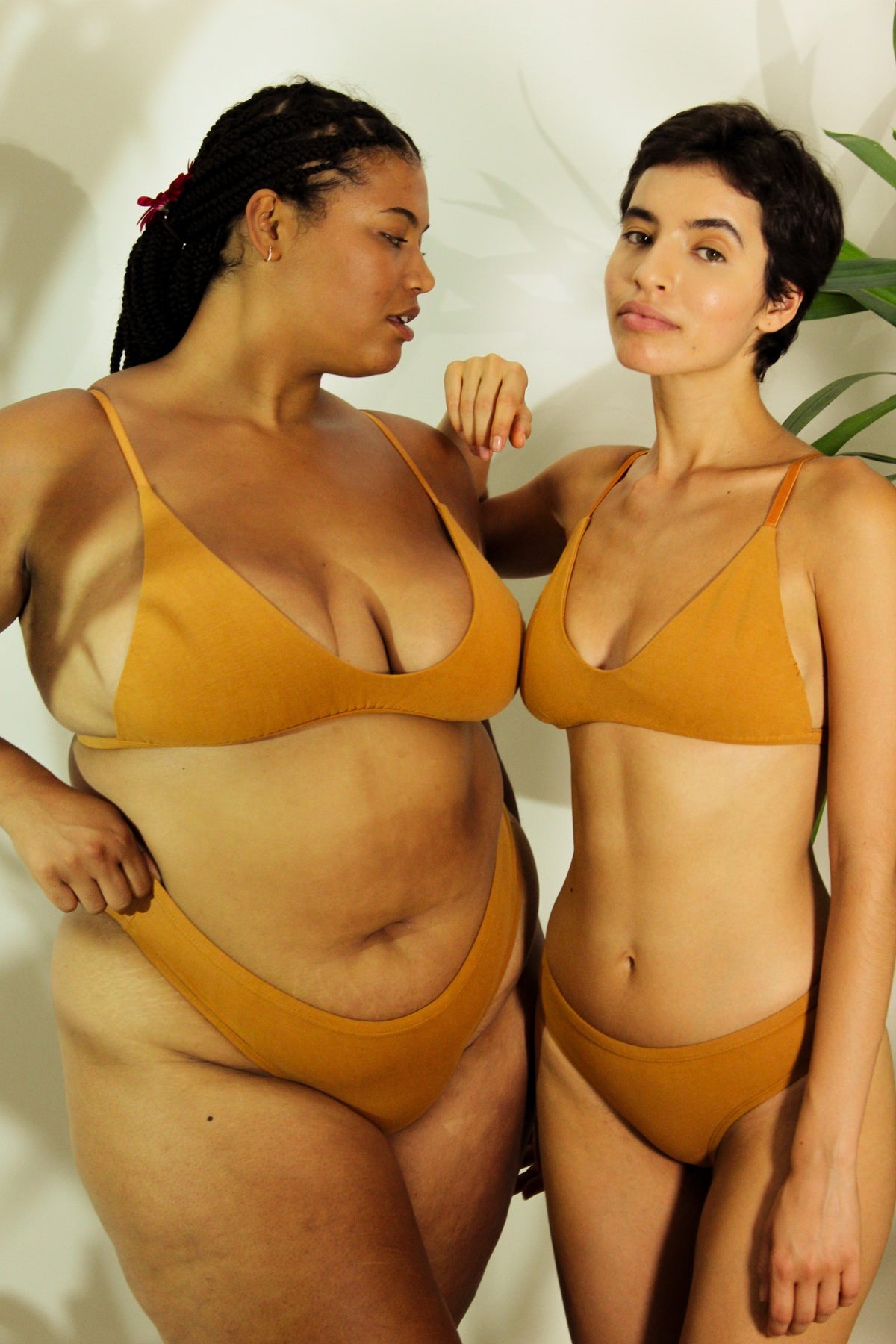 Shanta Bikini Bra & Brief Set - Ashwagandha Root Blend