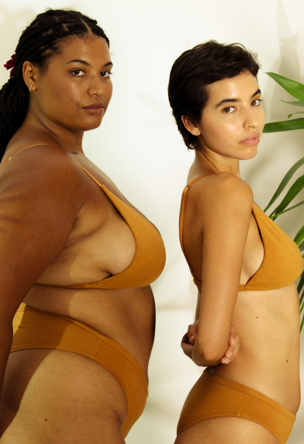 Shanta Bikini Bra & Brief Set - Ashwagandha Root Blend