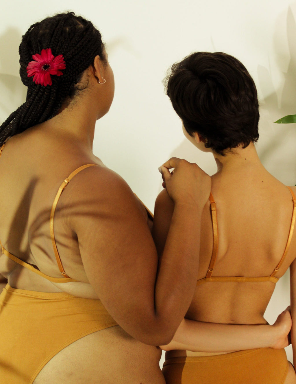 Shanta Bikini Bra & Brief Set - Ashwagandha Root Blend