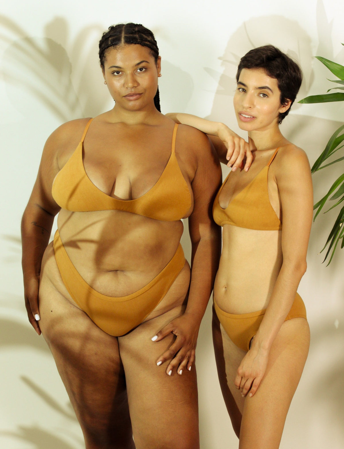 Shanta Bikini Bra - Ashwagandha Blend