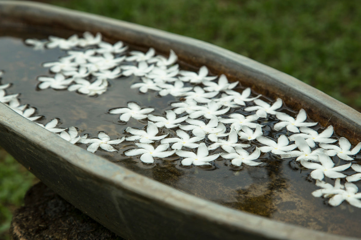 Natural flowers floating in a bowl of water