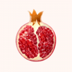 pomegranate for organic underwear