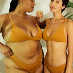 Shanta Brief – Ashwagandha Blend